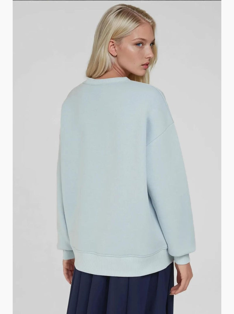 Comfort sweatshirt met ronde hals met verhoogd geborduurd dierenpatroon hiccup Pastelblauw - Kiabi