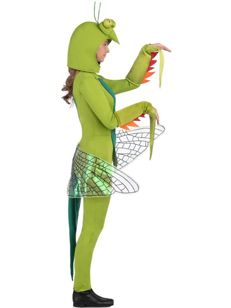 Costume de mante religieuse avec capuche et ailes Multicolore - Kiabi