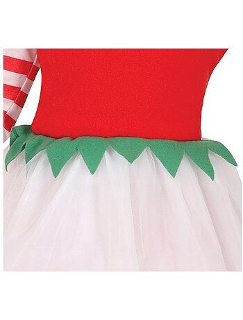 Costume de Miss Elfe