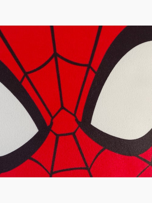 Coussin forme imprimé 100% polyester, spiderman hero head - Kiabi Coussin forme imprimé 100% polyester, spiderman hero head - Kiabi
