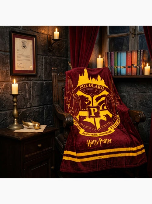 Couverture Flanelle Harry Potter Poudlard 130x160cm – Blason Doré – Licence Officielle - Kiabi Couverture Flanelle Harry Potter Poudlard 130x160cm – Blason Doré – Licence Officielle - Kiabi