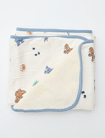 Couverture 'Jurassic Explorers'