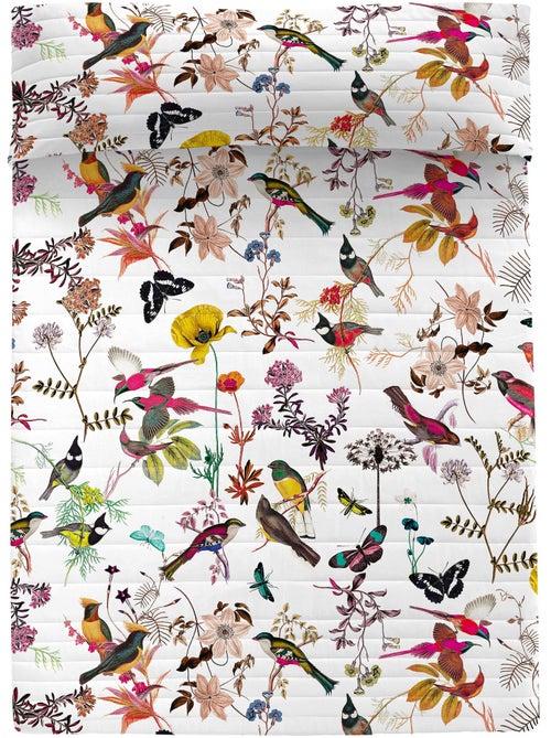 Couvre-lit Birds of paradise "Happyfriday" - Kiabi Couvre-lit Birds of paradise "Happyfriday" - Kiabi