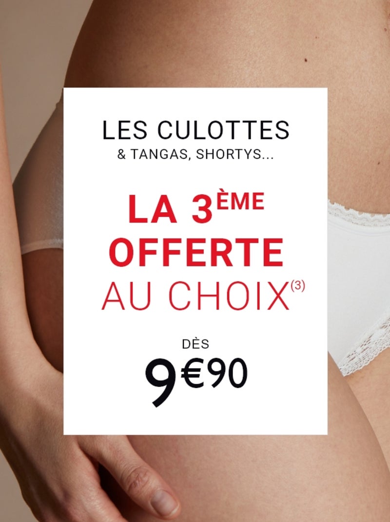 Culotte microfibre et dentelle dentelle - rougegorge lingerie Noir - Kiabi