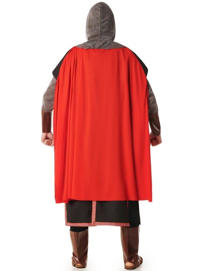 Déguisement de chevalier médiéval lion pour homme Multicolore - Kiabi