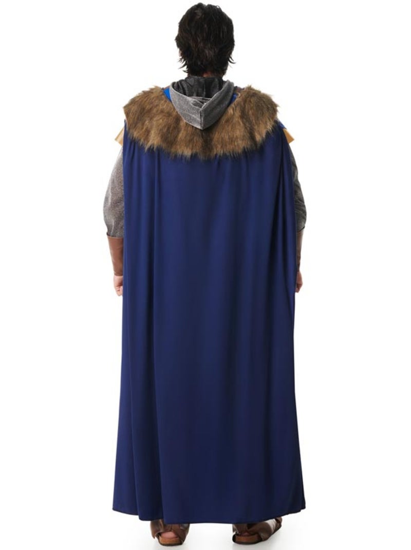 Déguisement de chevalier médiéval pour homme Multicolore - Kiabi