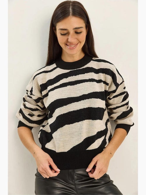 Dikke gebreide trui met zebraprint en ronde hals lucci - Kiabi Dikke gebreide trui met zebraprint en ronde hals lucci - Kiabi