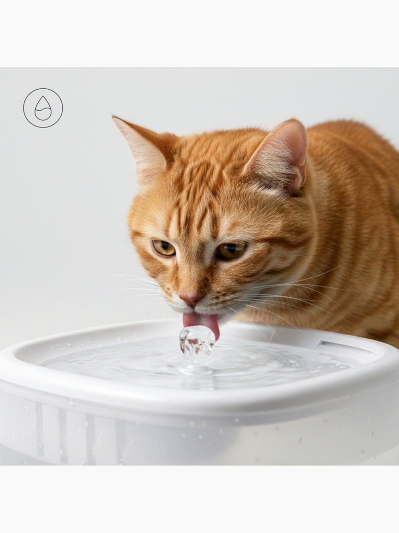 Distributeur Croquettes Chat Automatique 2en1 PELUVIO Feast - Distributeur d'eau - Wi-Fi - 10/jour Blanc - Kiabi