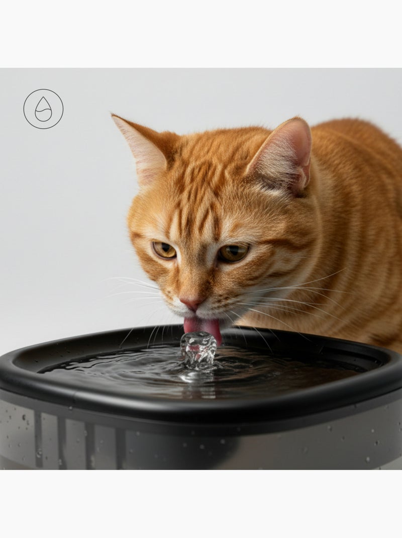 Distributeur Croquettes Chat Automatique 2en1 PELUVIO Feast - Distributeur d'eau - Wi-Fi - 10/jour Noir - Kiabi