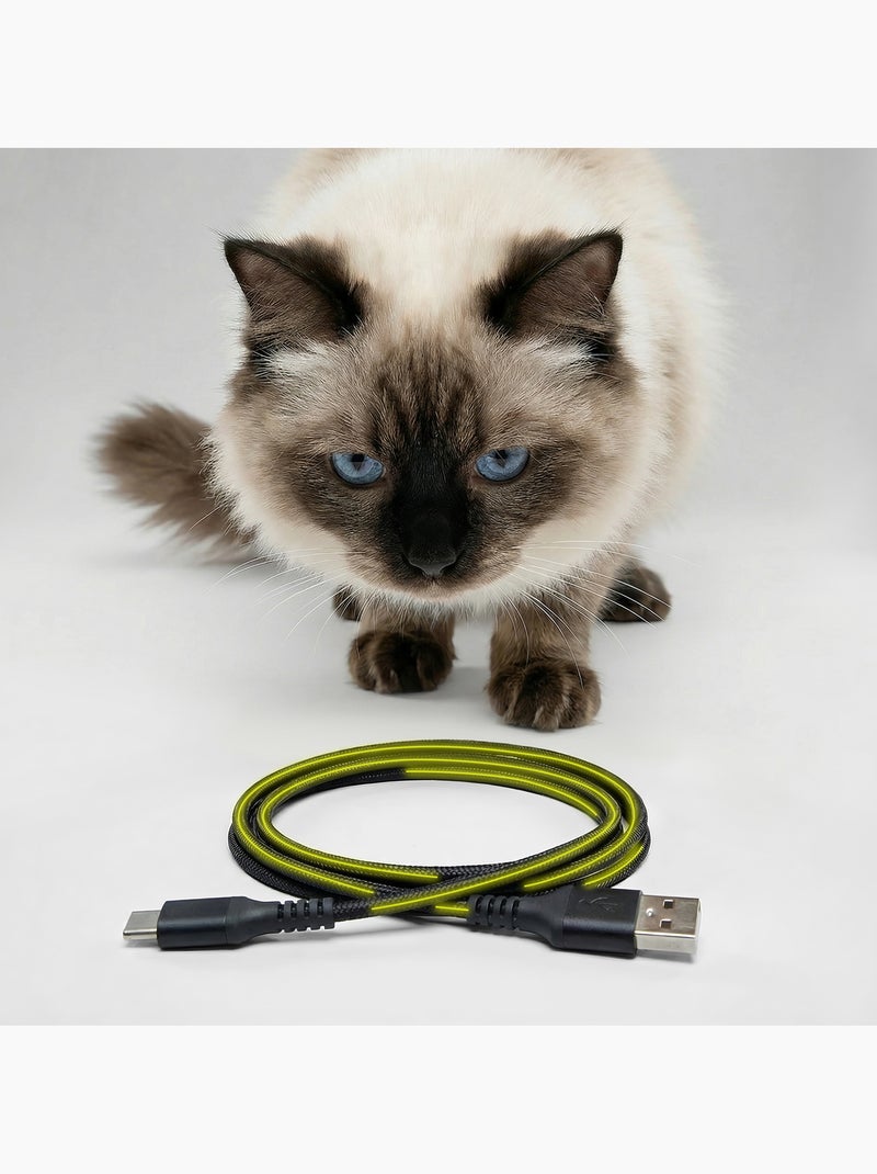 Distributeur de croquettes Automatique pour chat Chat PELUVIO Crispy - 4,5 L - 4 Repas/jour Noir - Kiabi