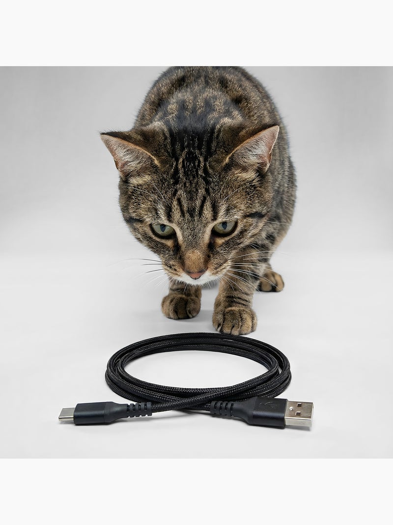 Distributeur de croquettes Automatique pour Chat PELUVIO Crispy - WiFi - 4,5 L - 4 Repas/jour Noir - Kiabi