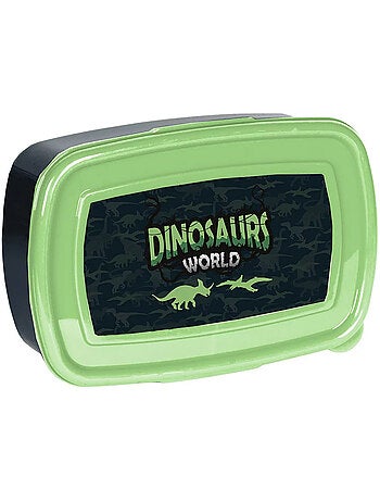 Doos met lunch kinderen 'Dinosaur World' 750 ml anti-fuites BPA FREE – PASO