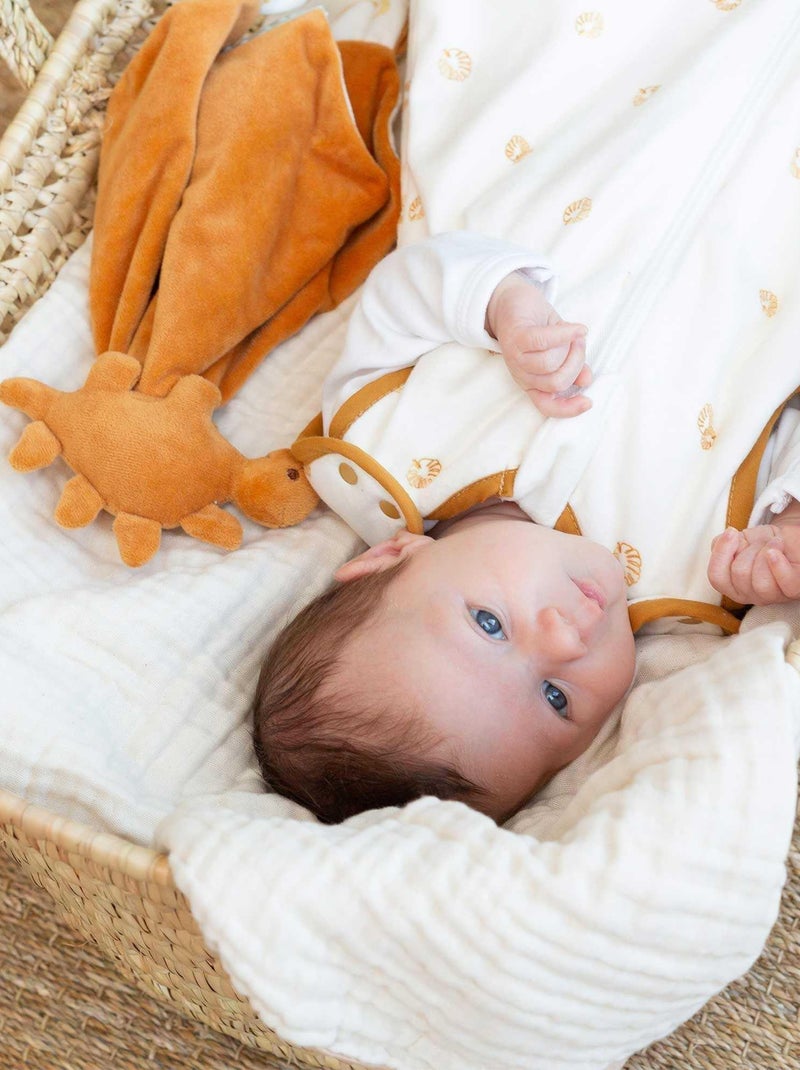 Doudou naissance Marron - Kiabi