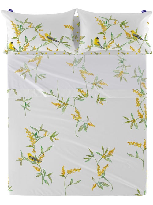 Drap Corniglia "Happyfriday" - Kiabi