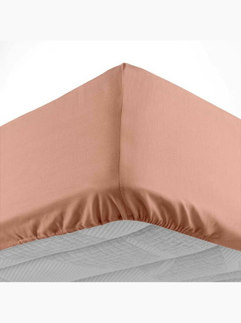 Drap housse 1 personne coton 57 fils lina Blush - Kiabi