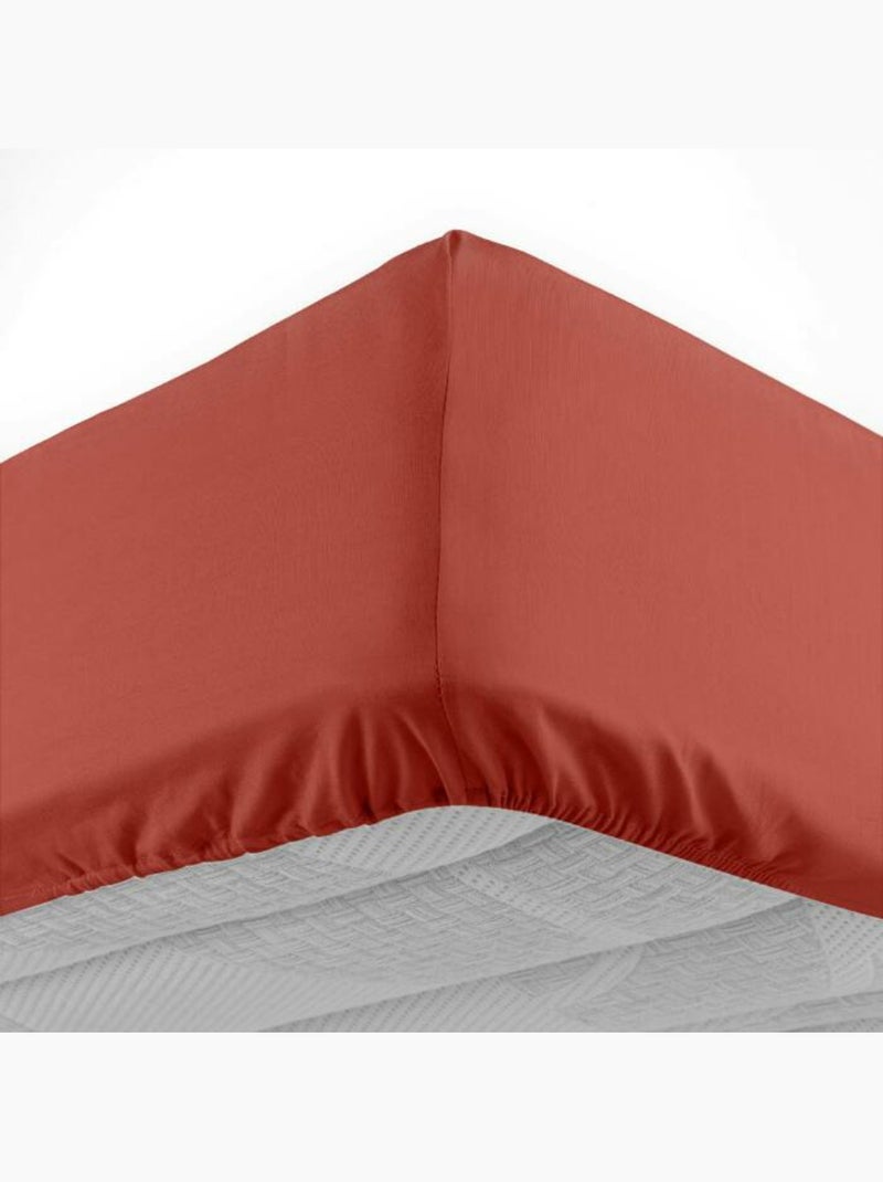 Drap housse 1 personne coton 57 fils lina Terracotta - Kiabi
