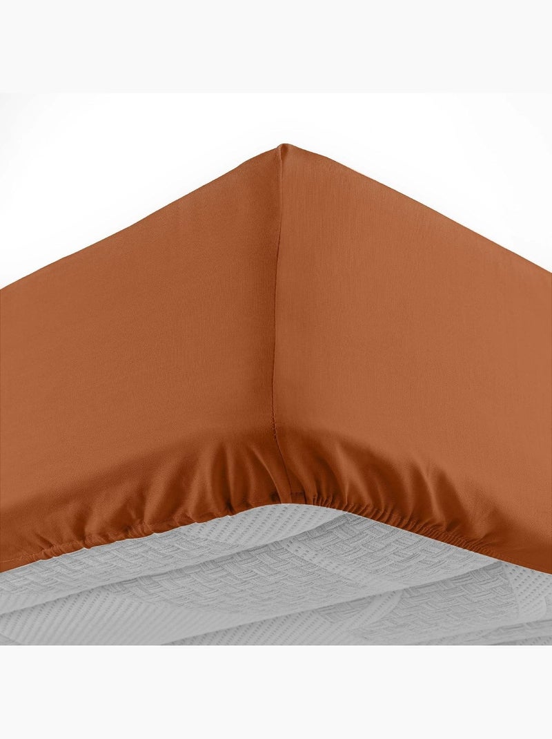 Drap housse coton lina douceur d'intérieur Marron caramel - Kiabi