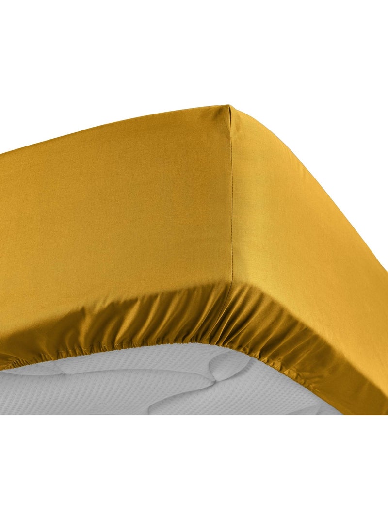 Drap housse uni 100% percale de coton origine Jaune - Kiabi