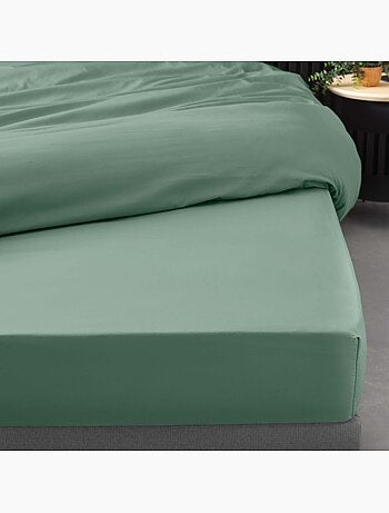 Drap housse uni 100% percale de coton origine