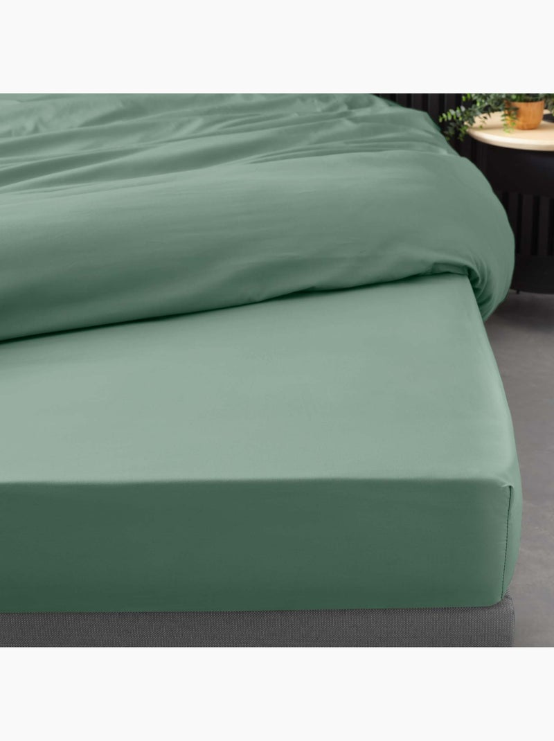 Drap Housse Uni 100% Percale de Coton ORIGINE Vert tilleul - Kiabi