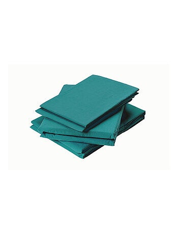 Drap Plat en Coton Lavé