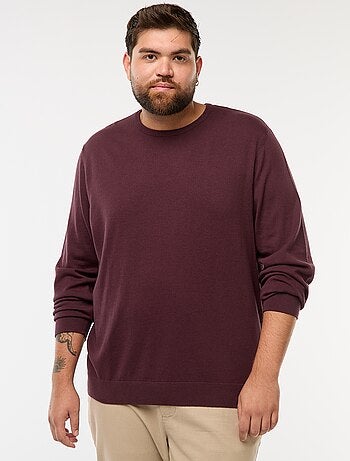 Effen gebreide trui met ronde hals