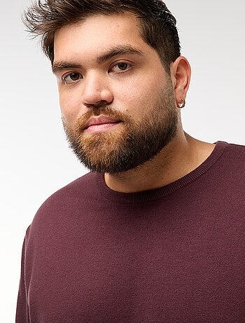 Effen gebreide trui met ronde hals