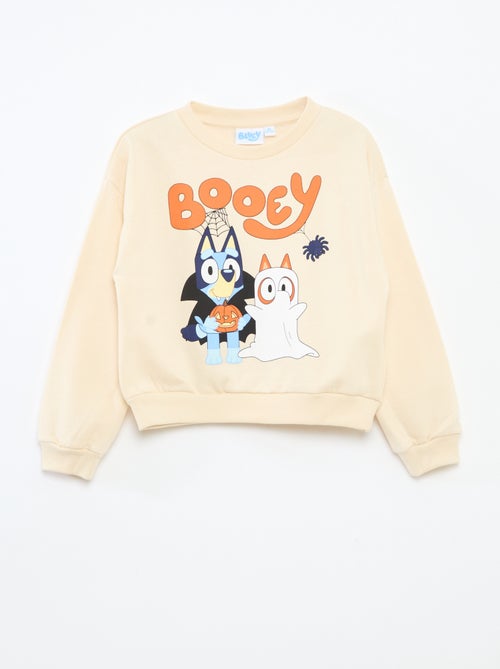 Effen, katoenen Bluey-sweater - Kiabi