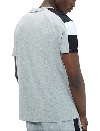 Ellesse fosha grijs t-shirt voor heren