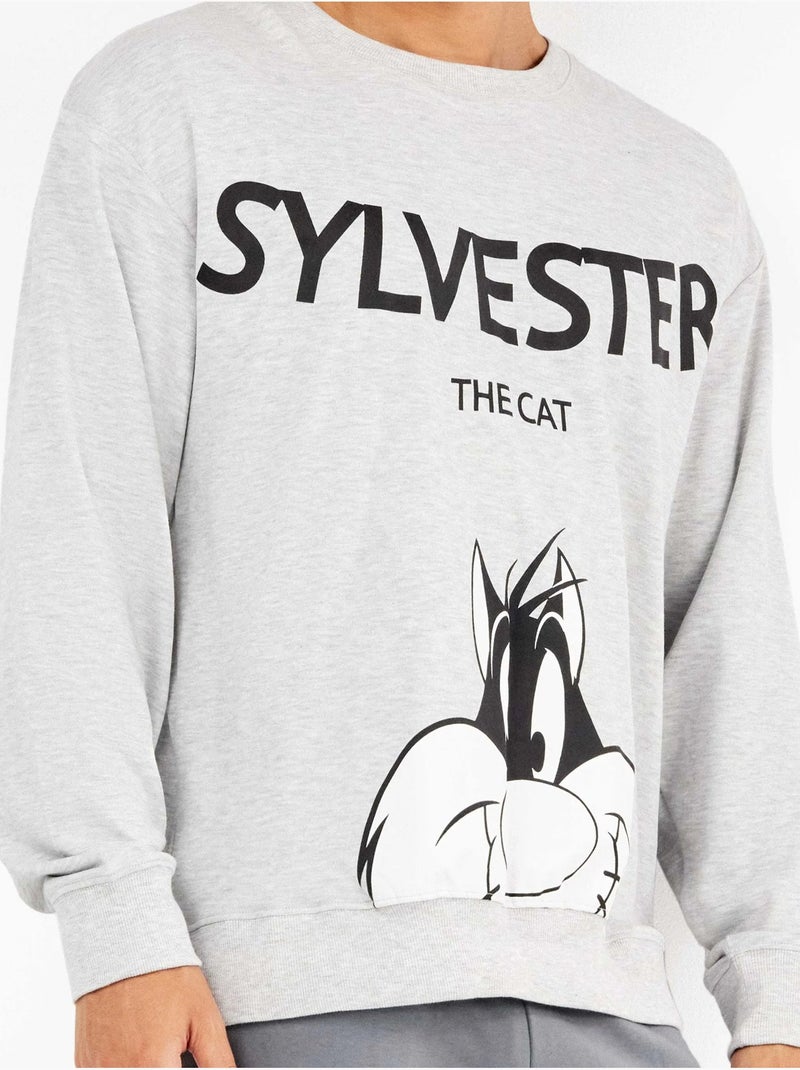 Ensemble pyjama homme sylvester en interlock Gris chiné - Kiabi