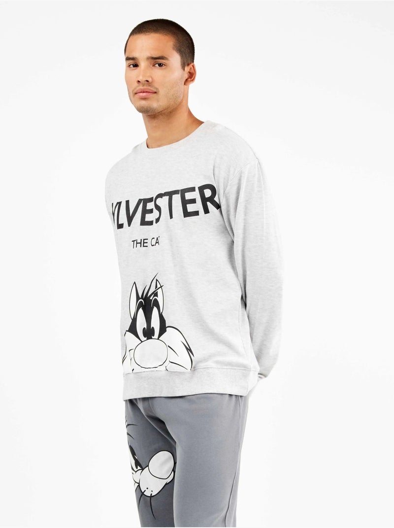 Ensemble pyjama homme sylvester en interlock Gris chiné - Kiabi