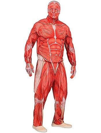 Express Anatomisch Kostuum met Spieren