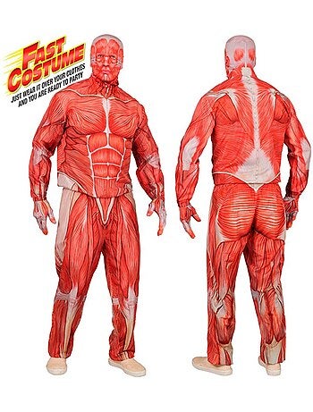 Express Anatomisch Kostuum met Spieren