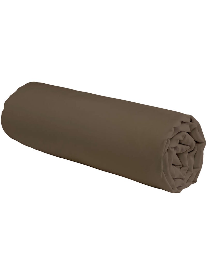 Future Home - Drap housse en coton 57 fils uni bonnet 25cm Taupe - Kiabi