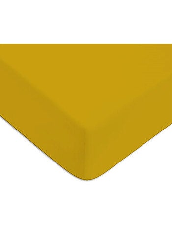 Future Home - Drap housse en coton 57 fils uni