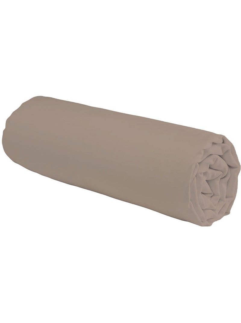Future Home - Drap housse en coton 57 fils uni Taupe - Kiabi