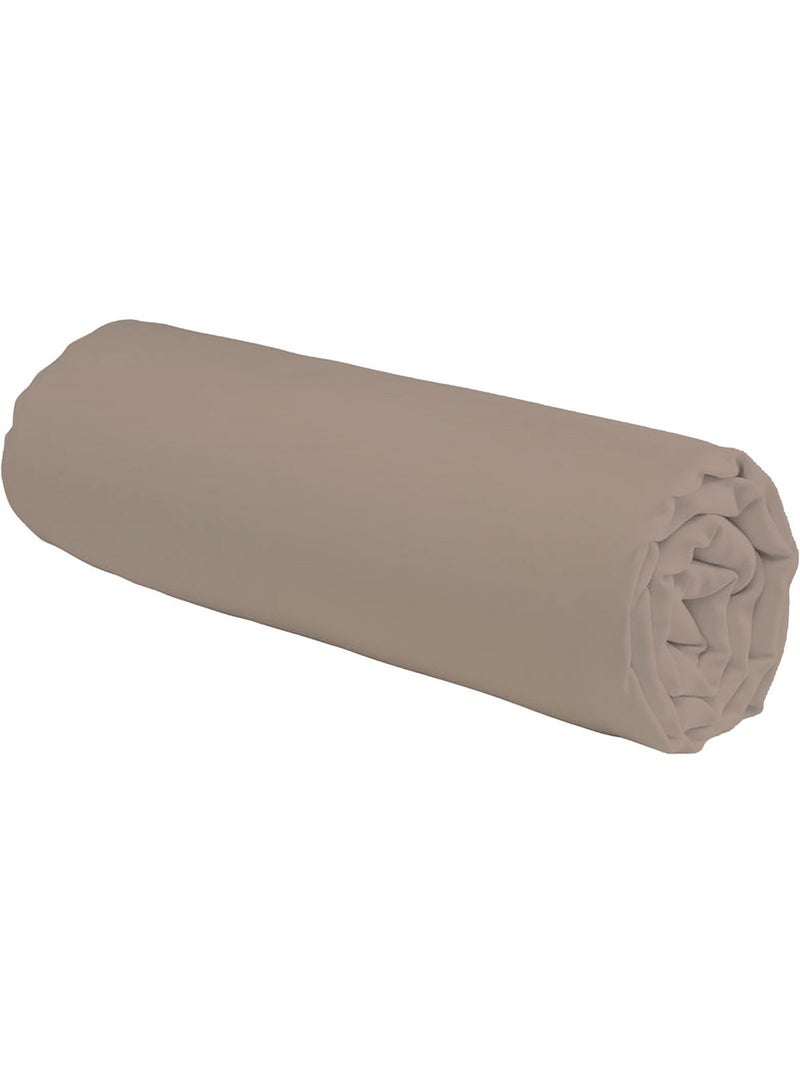Future Home - Drap housse en coton 57 fils uni Taupe - Kiabi