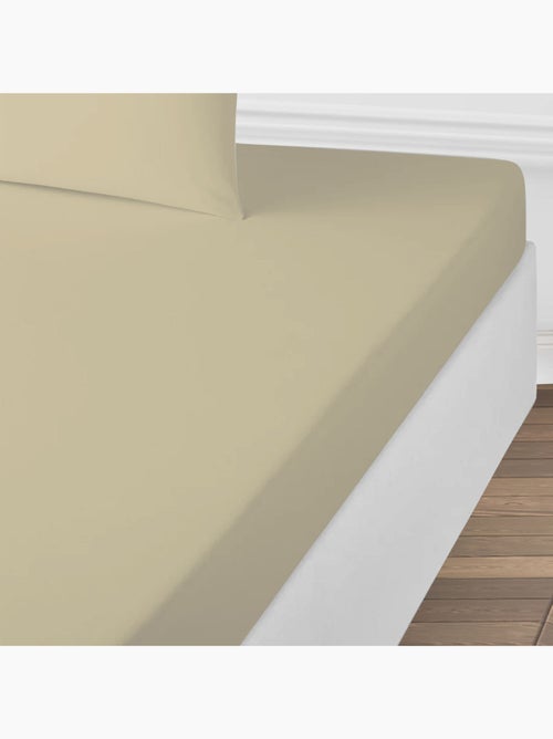 Future Home - Drap housse uni en coton 57 fils - Kiabi Future Home - Drap housse uni en coton 57 fils - Kiabi