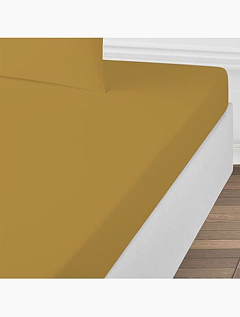 Future Home - Drap housse uni en coton 57 fils