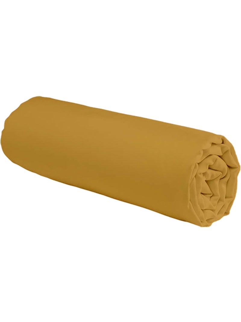 Future Home - Drap housse uni en coton 57 fils Miel - Kiabi