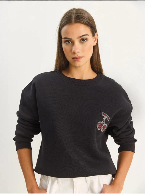Geborduurde sweatshirt met ronde hals lucci - Kiabi
