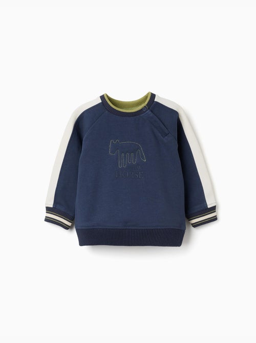 Geborsteld sweatshirt met clay horse print - Kiabi Geborsteld sweatshirt met clay horse print - Kiabi