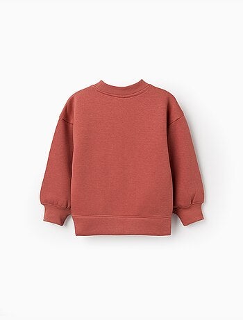 Geborstelde sweatshirt met kunst en natuur motief