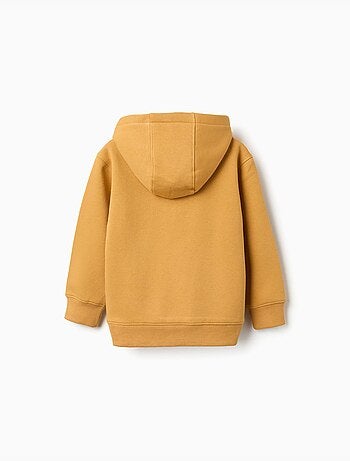 Geborsteld sweatshirt met capuchon en print