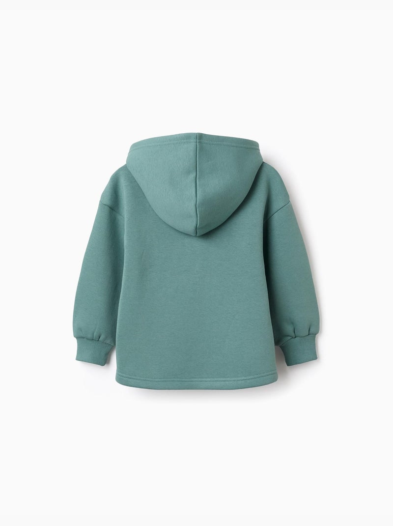 Geborstelde sweatshirt met capuchon met bloemenprint Lichtgroen - Kiabi