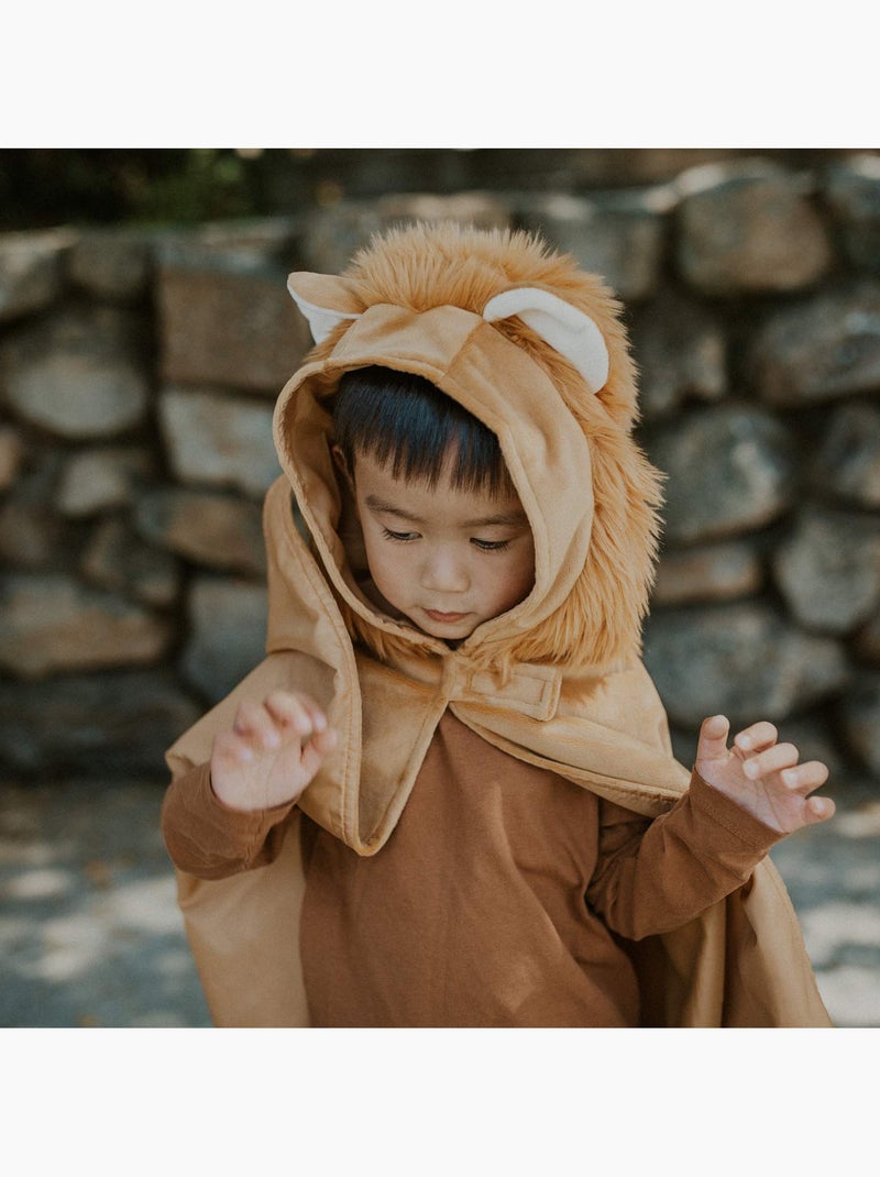 Great pretenders | déguisement bébé cape petit lion Marron chocolat - Kiabi