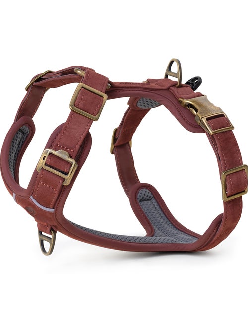 Harnais pour chien en Cuir PELUVIO Lord - Réglables - Kiabi