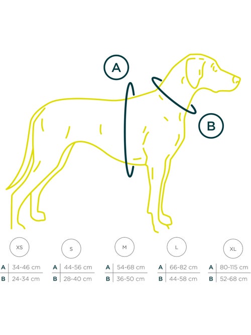 Harnais pour chien en Cuir PELUVIO Lord - Réglables - Kiabi