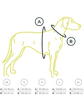 Harnais pour chien PELUVIO Mate - Réfléchissant - Réglables