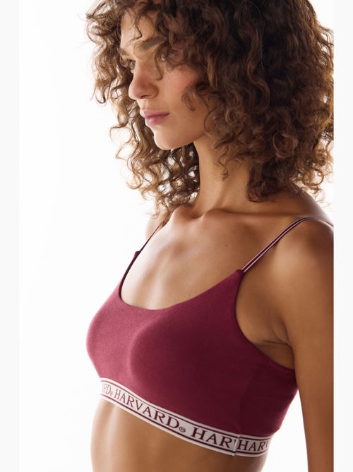 Harvard bralette avec coussinets amovibles penti - Kiabi Harvard bralette avec coussinets amovibles penti - Kiabi